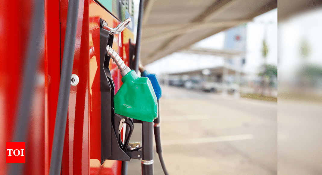 Petrol price crosses Rs 100 per litre in Chennai