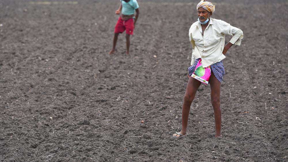 Agricultural workers sow cotton seeds