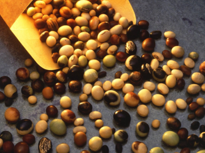 Foods to have after getting COVID shot