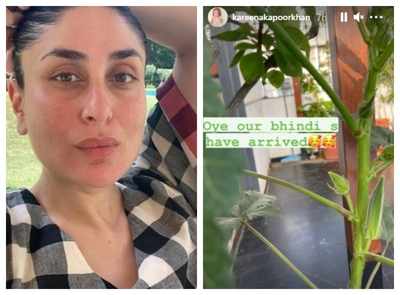 Kareena Kapoor Khan shares a picture of okra growing in her home garden; take a look!