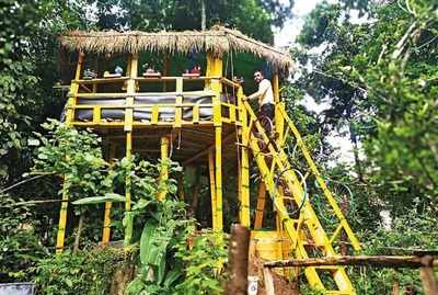 Kodagu teacher builds treehouse classroom to overcome patchy internet