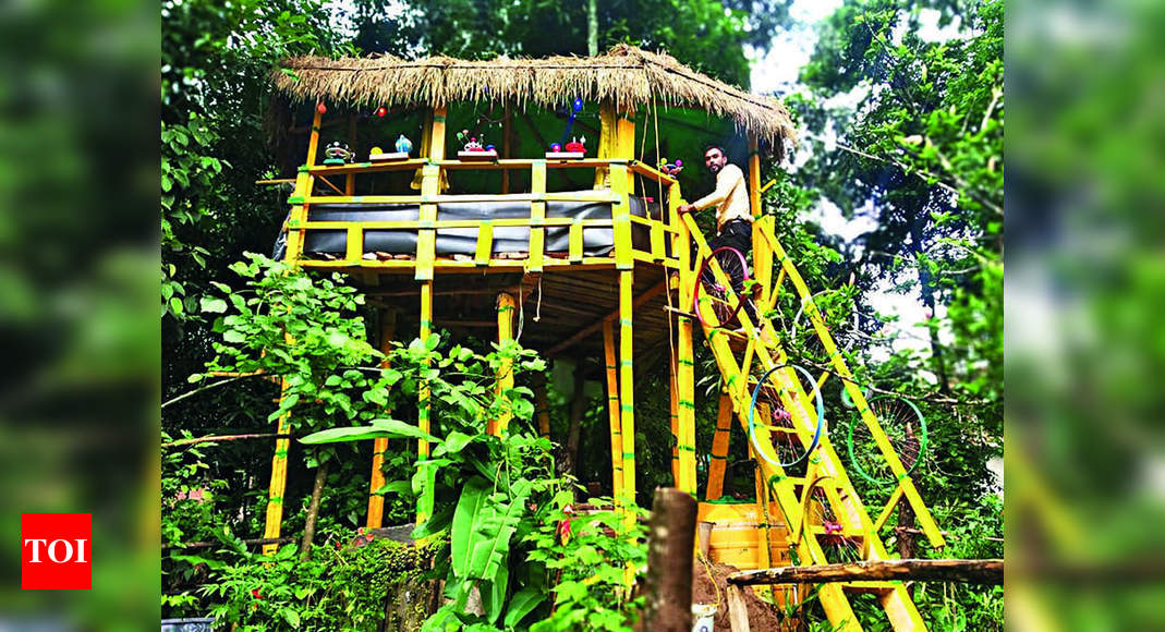 Internet issue: K'taka teacher builds treehouse class