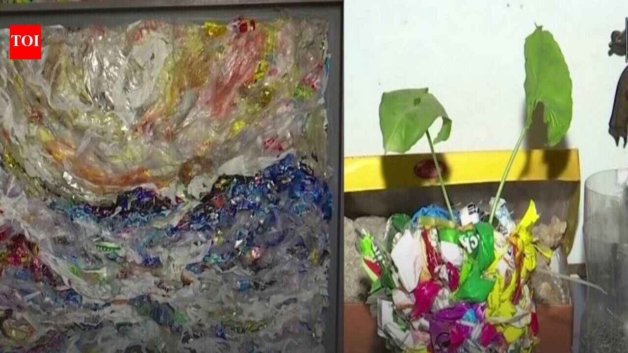 Delhi artist turns plastic waste into stunning artworks