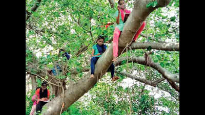 Tamil Nadu: Online classes in Namakkal village possible only atop trees