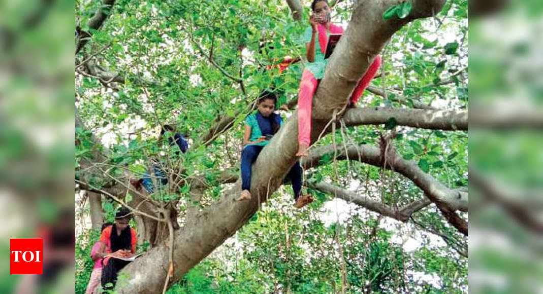 Online classes in Namakkal village possible only atop trees