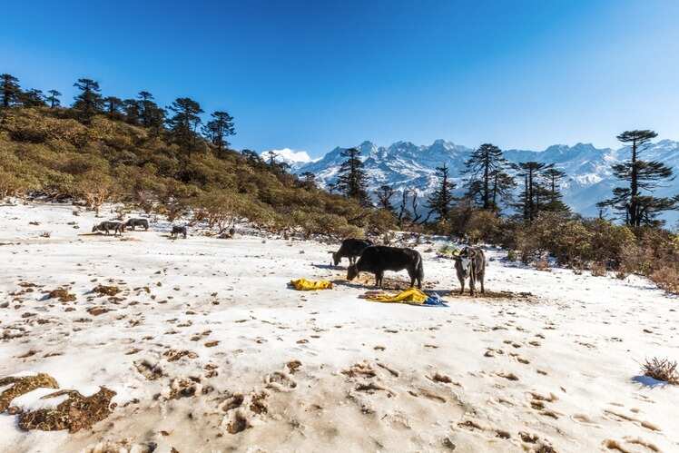 ​Khangchendzonga National Park