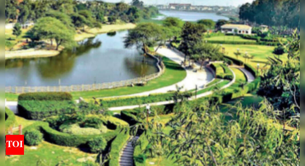 Sanjay Lake: A Serene Escape in the Heart of Delhi Sanjay Lake: A Serene Escape in the Heart of Delhi