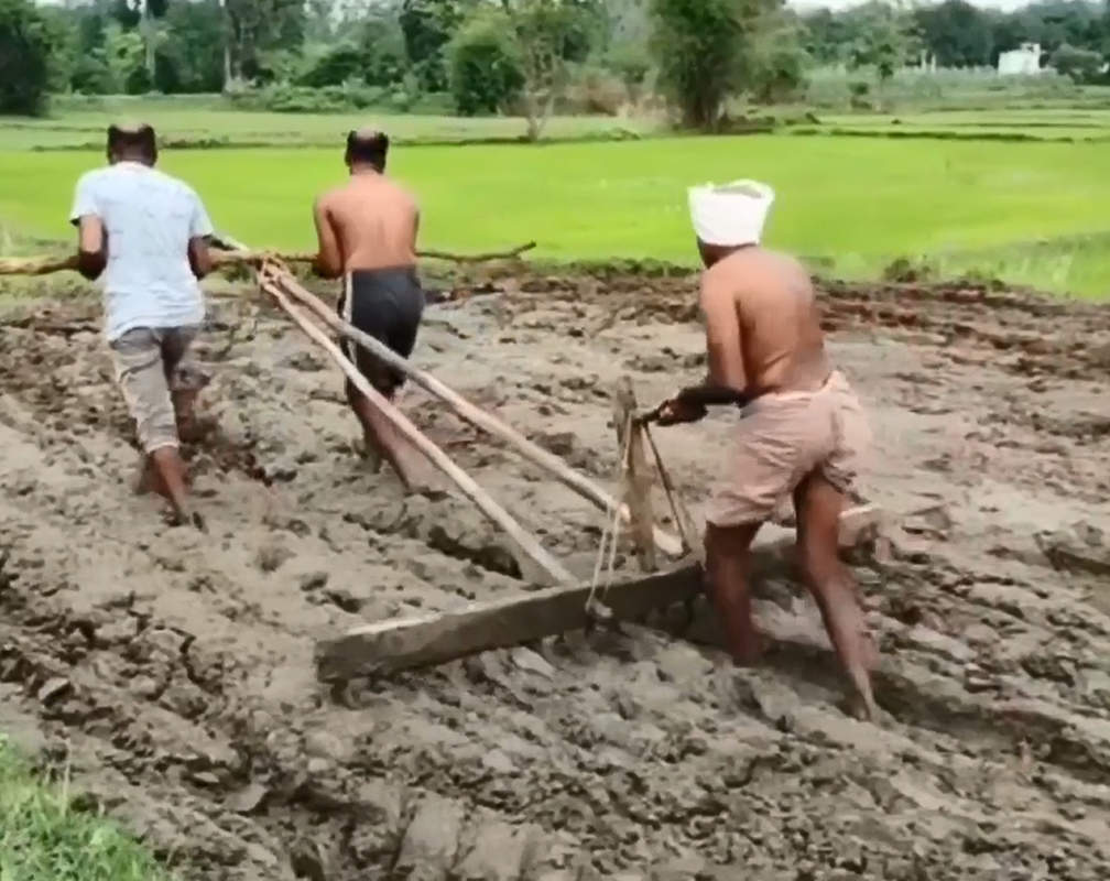 
Covid impact: Two siblings forced to pull plough field to aid poor family
