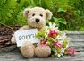 6 steps to correctly apologize in your marriage