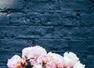 Places to put flower vases for a refreshing vibe