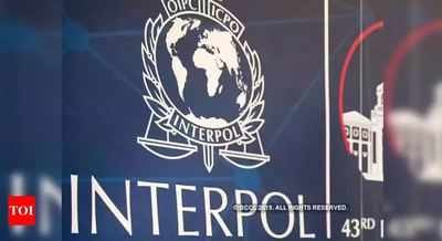Interpol issues red notices against 2 Gupta brothers who fled South Africa