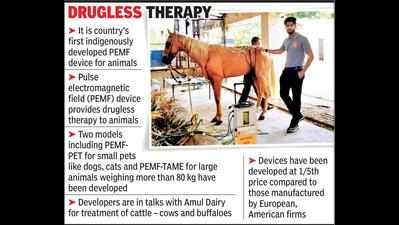 Indigenous physiotherapy device for animals