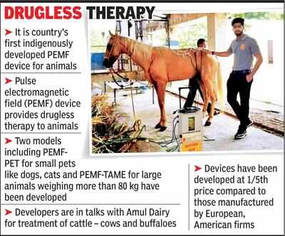 Indigenous physiotherapy device for animals | Vadodara News - Times of India Indigenous physiotherapy device for animals | Vadodara News - Times of India