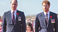 It is almost impossible for Prince Harry to be trusted, royal sources say