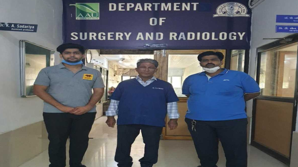In Pics: Indigenous physiotherapy device for animal | The Times of India In Pics: Indigenous physiotherapy device for animal | The Times of India