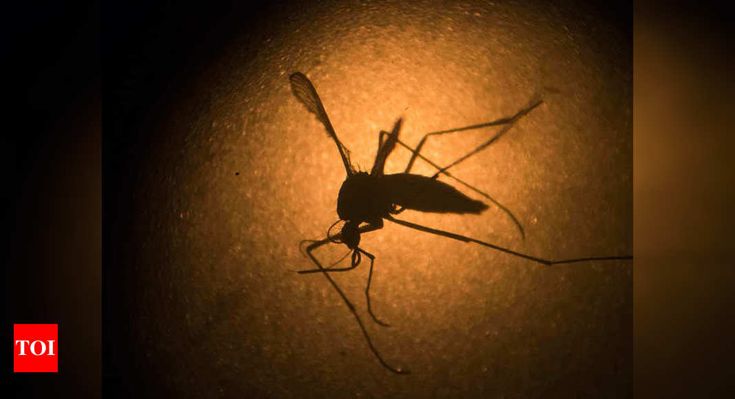 Kerala reports first zika virus case