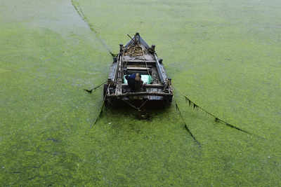 Chinese port city of Qingdao uses boats, scoops to fight algae bloom