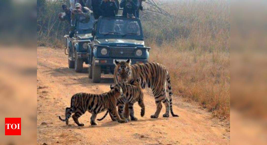 man-animal-conflict-greatest-threat-to-wildlife-report-nagpur-news