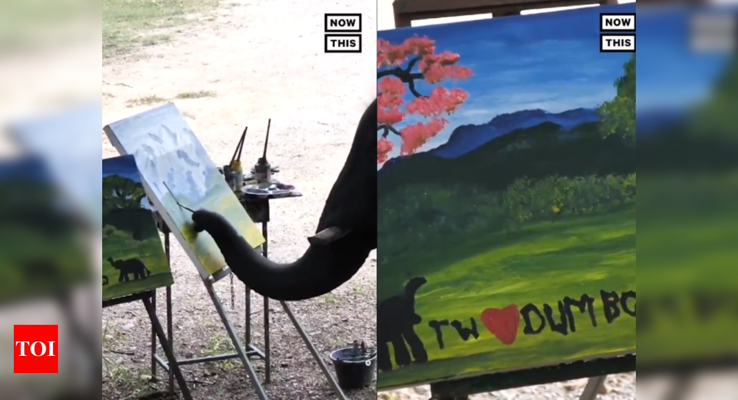 Video Of Elephant Painting On Canvas In Thailand Going Viral Netizen   Photo 