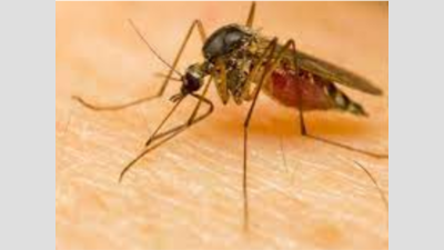 14 Zika virus cases confirmed in Kerala