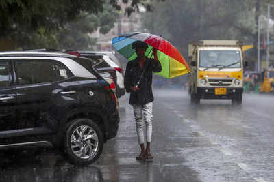 Monsoon may cover NW India in next 24-48 hours, experts tell Parliament panel
