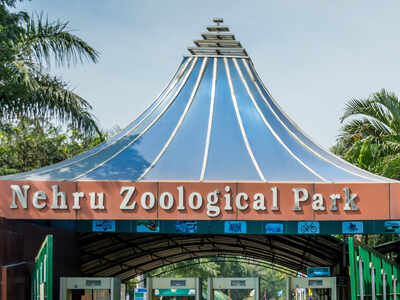 Zoo to open from July 11 in Hyderabad Zoo to open from July 11 in Hyderabad