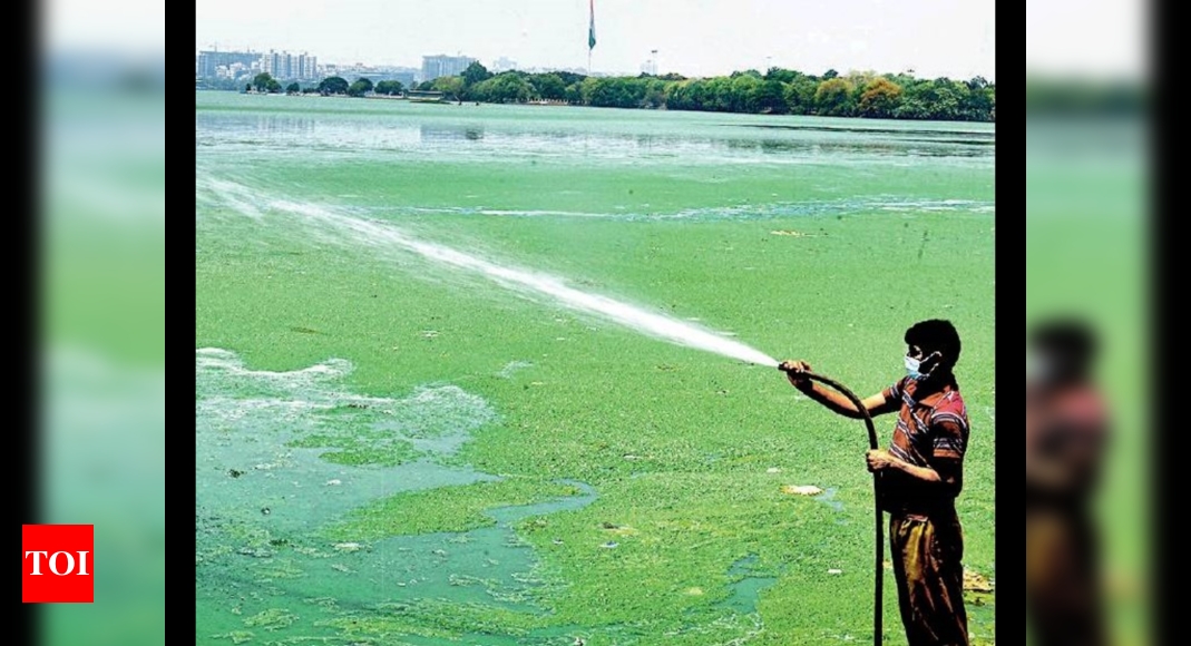 Dengue mosquitoes breeding in Hyd, fear of disease looms