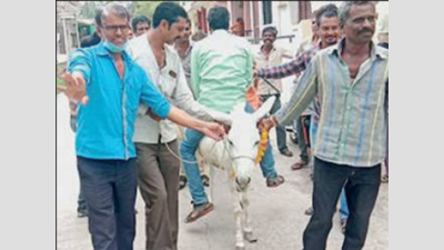 Madhya Pradesh: Backward ride on donkey for rain in Ratlam