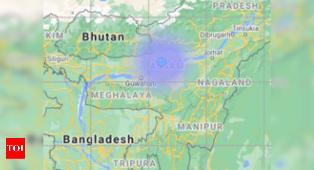 Magnitude-3.1 earthquake hits Assam