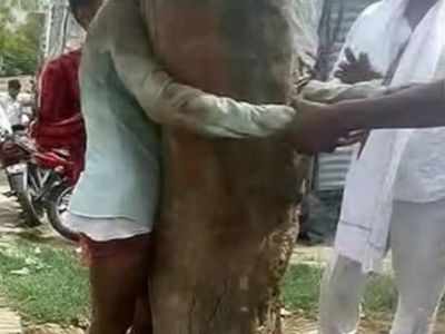 UP: Dalit man beaten up, stick inserted in private part by woman's relatives over alleged affair
