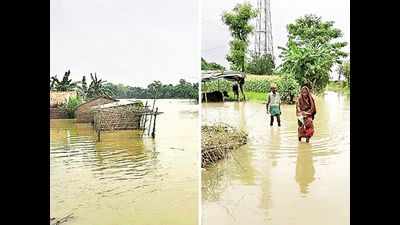 Bihar: Flood situation eases, but smaller rivers still flow above danger mark