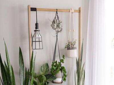 Vastu for placement of plants