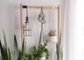 Vastu for placement of plants