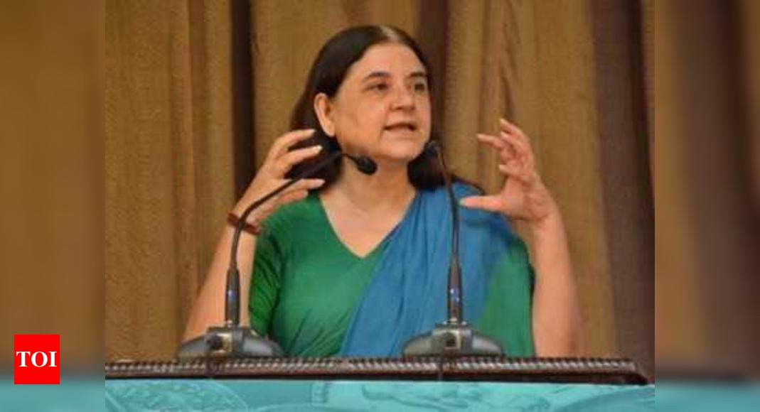 Maneka shuts down animal centre after video of cruelty against dog