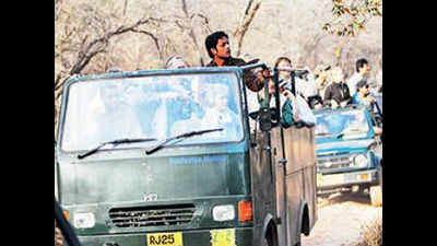 Two safari vehicles banned in Ranthambore for violating norms