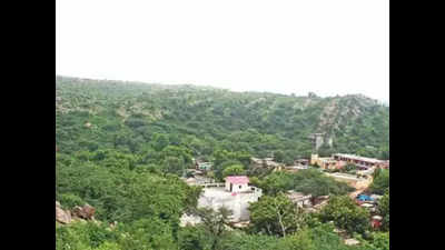 1,000 trees axed in a week in Aravali village