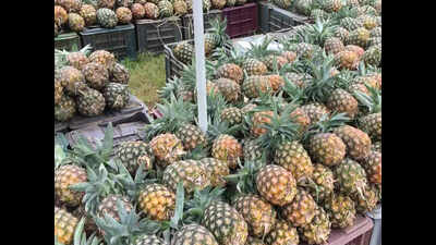 Tripura CM sends pineapples for Bangladesh PM