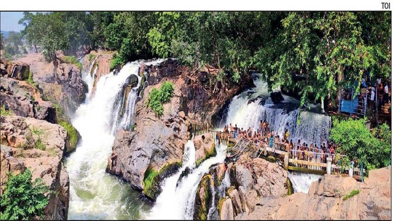 Tamil Nadu: Clean-up on at Hogenakkal falls to attract tourists | Chennai  News - Times of India