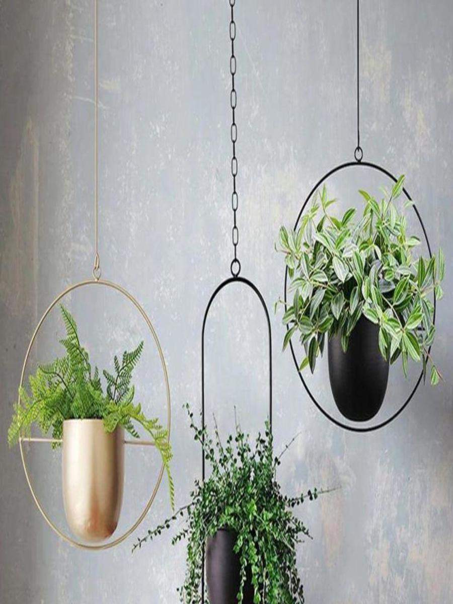 Stunning decorative flower pot ideas | Times of India