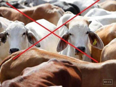 PETA seeks Centre’s intervention to end cattle slaughter