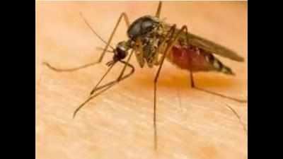73-year-old woman tests positive for Zika in Thiruvananthapuram