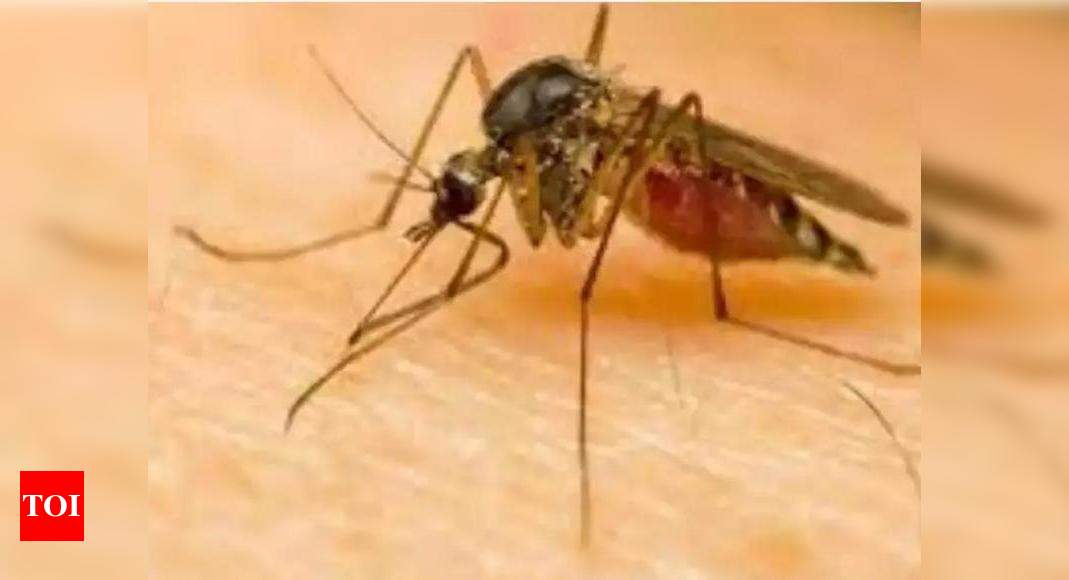 73-year-old woman tests positive for Zika in Thiruvananthapuram