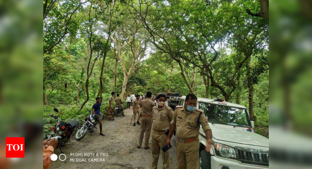 UP: Tiger kills two bikers, third survives by climbing tree