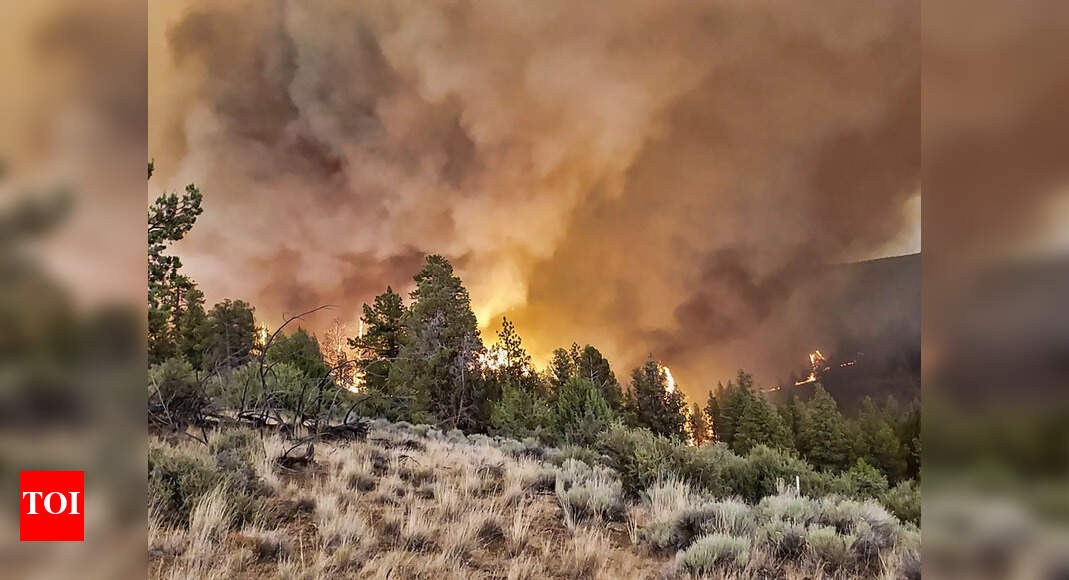 Wildfires rage across million acres as heat wave stifles western US ...