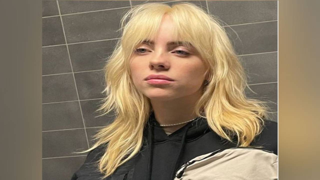 Billie Eilish fires back at social media critic | English Movie News -  Times of India