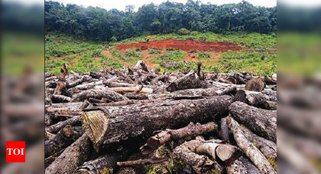 In 1 year, Goa diverted near 150 hectare forest land for power projects