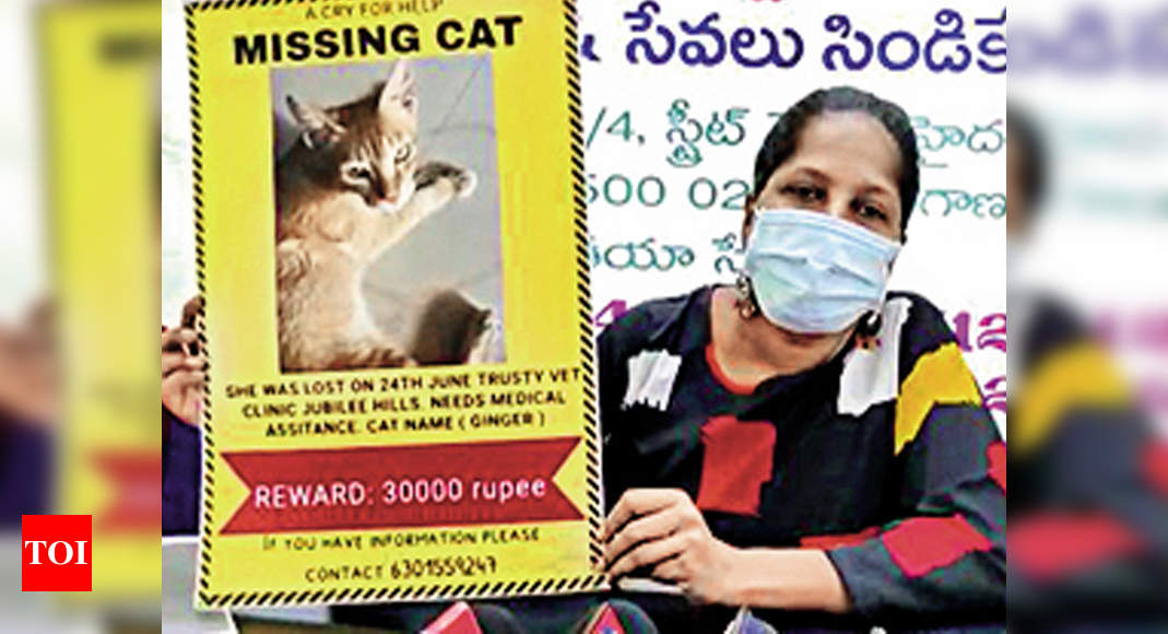 Rs 30,000 for tracing cat in Hyderabad