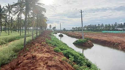 Bengaluru: Citizens recreate water channel, give lake new life