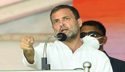 Will he agree to lead Congress in Lok Sabha? All eyes on Rahul Gandhi