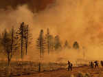 Wildfires burn more than 850,000 acres in US